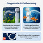 🌊✨3-in-1 Aquariumfilter – Filtratie, Zuurstoftoevoer & Waterpompen🐠