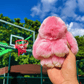 💘Valentijnsaanbieding: 50% Korting! 🐰 Handgemaakte Zachte Konijnen PomPom Sleutelhanger – Imitatiebont & Schattig Tasaccessoire!