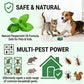 🥳2026 HOT SALE🥳💞50K+ VERKOCHT!🏠🛡️ 50% KORTING! All-Pest afweermiddel – veilig voor huisdieren & wilde dieren. Geen gifstoffen, alleen effectief. Te gebruiken binnen & buiten. 🐾✅