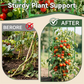 Verhoogde Garden Plantenbak met Klimrek