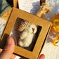 Handgemaakte Mini Pluche Teddybeer in Doos