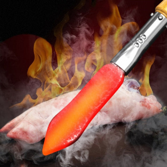 Scalding Pig Hair Handheld Electric Soldering Iron
