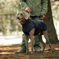 Reflecterende winterjas voor buitenhonden