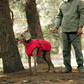 Reflecterende winterjas voor buitenhonden