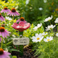Bloemvormige Bijenwaterer Tuinprikker