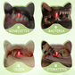Pet Oral Care Spray for Dogs & Cats