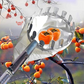 🍎 Fruitplukker met opvangmand