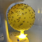 Kleverige Fruitvliegval Bal met Standaard & LED