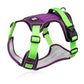 🐕 50% KORTING! 🔦 Anti-trek hondenharnas met LED-lijn en halsband – vermindert druk, zacht nylon en perfect voor nachtelijke wandelingen en training 🌙