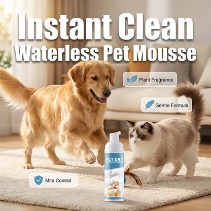 Reinigingsmousse voor honden en katten zonder water