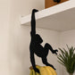 🐒 KOOP 2, KRIJG 1 GRATIS! 🍌 Aapvormige bananenhaken – Leuk design, stevig & ruimtebesparend – Ideaal voor het ophangen van fruit, tassen of keukenapparaten ✨