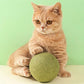 🧶 Gigantische Natuurlijke Kattenkruidbal van 10 cm 🐱🌿 - Kauwbaar & Interactief | Helpt Stress te Verminderen & Tanden te Reinigen | 100% Veilig en Niet-Giftig | Geschikt voor Katten van Alle Leeftijden | 50% KORTING 💚 NL
