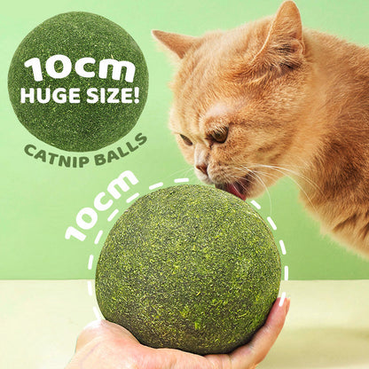 🧶 Gigantische Natuurlijke Kattenkruidbal van 10 cm 🐱🌿 - Kauwbaar & Interactief | Helpt Stress te Verminderen & Tanden te Reinigen | 100% Veilig en Niet-Giftig | Geschikt voor Katten van Alle Leeftijden | 50% KORTING 💚
