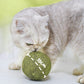 🧶 Gigantische Natuurlijke Kattenkruidbal van 10 cm 🐱🌿 - Kauwbaar & Interactief | Helpt Stress te Verminderen & Tanden te Reinigen | 100% Veilig en Niet-Giftig | Geschikt voor Katten van Alle Leeftijden | 50% KORTING 💚