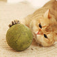 🧶 Gigantische Natuurlijke Kattenkruidbal van 10 cm 🐱🌿 - Kauwbaar & Interactief | Helpt Stress te Verminderen & Tanden te Reinigen | 100% Veilig en Niet-Giftig | Geschikt voor Katten van Alle Leeftijden | 50% KORTING 💚