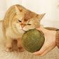 🧶 Gigantische Natuurlijke Kattenkruidbal van 10 cm 🐱🌿 - Kauwbaar & Interactief | Helpt Stress te Verminderen & Tanden te Reinigen | 100% Veilig en Niet-Giftig | Geschikt voor Katten van Alle Leeftijden | 50% KORTING 💚 NL