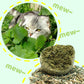 🧶 Gigantische Natuurlijke Kattenkruidbal van 10 cm 🐱🌿 - Kauwbaar & Interactief | Helpt Stress te Verminderen & Tanden te Reinigen | 100% Veilig en Niet-Giftig | Geschikt voor Katten van Alle Leeftijden | 50% KORTING 💚