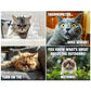 🐱 Grappige Kattenkalender 2027 – 12 Maanden Vol Ondeugende Kattenhumor, Perfect voor Kattenliefhebbers
