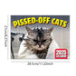 🐱 Grappige Kattenkalender 2027 – 12 Maanden Vol Ondeugende Kattenhumor, Perfect voor Kattenliefhebbers