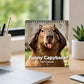 📅 Grappige capibara-kalender voor 2027