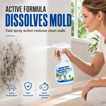 🧴 50% korting! Schimmelvlekken spray voor muren – gerichte sproeikop, lost zichtbare vlekken & aanslag op. Voor vochtige ruimtes – 120 ml! ✨🏠