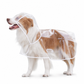 🔥📢 Tijdelijke aanbieding! 🔥🐕 Transparante waterdichte regenjas voor honden – Houd je hond droog en goed zichtbaar tijdens regenachtige wandelingen 🌧️
