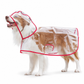 🔥📢 Tijdelijke aanbieding! 🔥🐕 Transparante waterdichte regenjas voor honden – Houd je hond droog en goed zichtbaar tijdens regenachtige wandelingen 🌧️