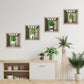 Wandstickers met decoratieve schilderijen in potten